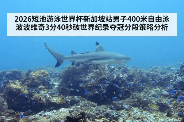 2026短池游泳世界杯新加坡站男子400米自由泳波波维奇3分40秒破世界纪录夺冠分段策略分析